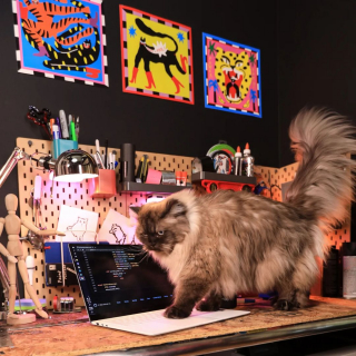 Illustration de l'article : Une femme crée une technologie capable de s’assurer que son chat va correctement à la selle, afin de déceler quand il avale du plastique 