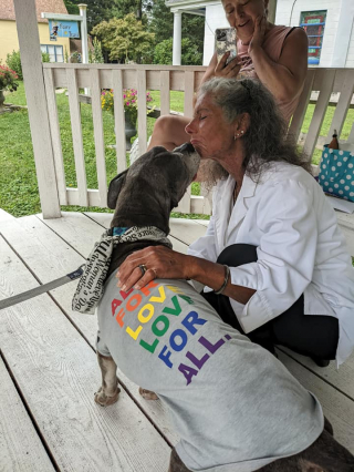 Illustration de l'article : Un chien &acirc;g&eacute; et malade coche toutes les cases de sa liste d&rsquo;aventures avant de rejoindre les anges