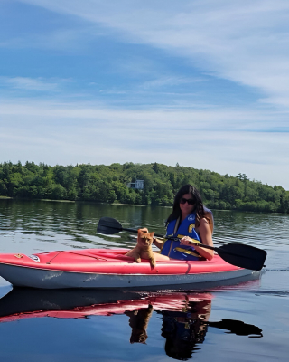 Illustration de l'article : D&egrave;s que le vent se l&egrave;ve, le minois de ce chat se transforme totalement