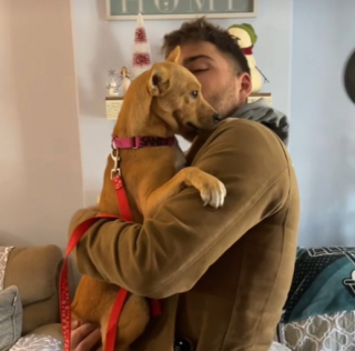 Illustration de l'article : Elle adopte une chienne enceinte et doit prendre une décision importante (vidéo)