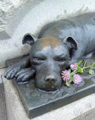 Illustration de l'article : Un hommage bouleversant à Sallie, chienne de soutien et plus fidèle amie des anciens combattants 