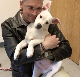 Illustration de l'article : Un homme porteur de handicap se reconna&icirc;t &agrave; travers un chien et s&rsquo;inspire de lui pour aider d&rsquo;autres personnes