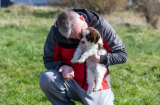 Illustration de l'article : Il achète son chien à 2 300 euros et ce dernier lui rapporte le triple en déterrant un trésor