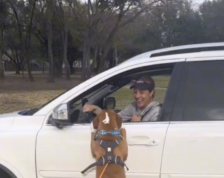 Illustration de l'article : Ce chien aime tellement sa grand-mère qu’il la voit partout (vidéo)