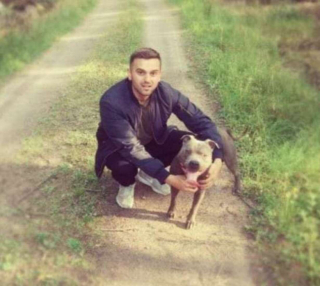 Illustration de l'article : Secourue par un Pitbull, une femme revoit son jugement sur cette race de chien visée par de nombreux préjugés