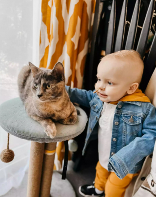 Illustration de l'article : Aid&eacute; de sa meilleure amie f&eacute;line, un enfant se bat contre sa leuc&eacute;mie 