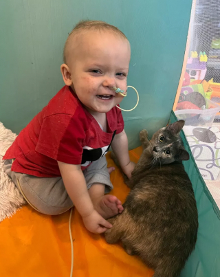 Illustration de l'article : Aid&eacute; de sa meilleure amie f&eacute;line, un enfant se bat contre sa leuc&eacute;mie 