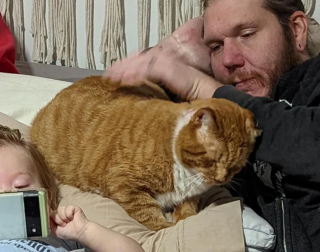 Illustration de l'article : Découvert sévèrement blessé, ce chat n’en avait pas fini avec la vie et l’a prouvé