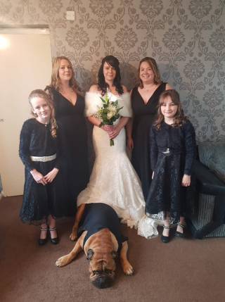 Illustration de l'article : Refusant de célébrer leur mariage sans la présence de leur chien gravement malade, ce couple bouscule son calendrier en anticipant la fête