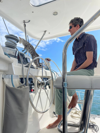 Illustration de l'article : Lors d’un week en famille sur un catamaran, une chatte disparaît soudainement et demeure introuvable durant plusieurs jours