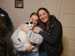 Illustration de l'article : En rejoignant sa famille d’accueil en avion, un chat panique et devient ingérable dans l’aéroport