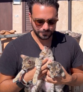 Illustration de l'article : Après la rencontre de 3 chatons en Italie, un couple fait appel à la générosité de sa communauté pour une adoption en bonne et due forme