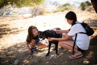 Illustration de l'article : En voyage, une mère et sa fille tombent sous le charme de deux canidés dans l’attente de soins et d’amour
