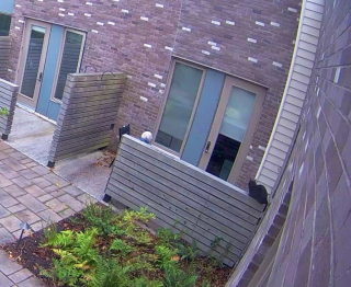 Illustration de l'article : Une femme saisie par l’émotion en découvrant la vie cachée de son chat (vidéo)