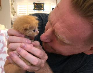 Illustration de l'article : La transformation inespérée d’un chaton orphelin qui tenait dans la paume d’une main au moment de son sauvetage