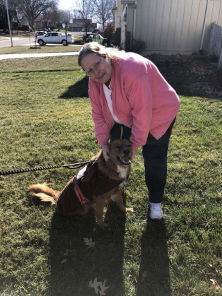 Illustration de l'article : Cette chienne et sa voisine humaine ne manqueraient pour rien au monde leur adorable rituel (vidéo)