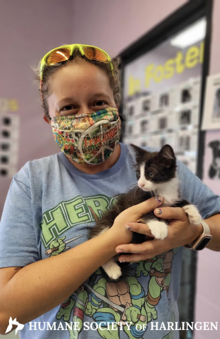 Illustration de l'article : Une séance photo catastrophique change la vie d’un chaton de refuge