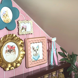 Illustration de l'article : Après avoir longtemps vécu dans un refuge surpeuplé, Wolfie la chatte est gâtée d’une manière exceptionnelle par sa nouvelle maîtresse (vidéo)