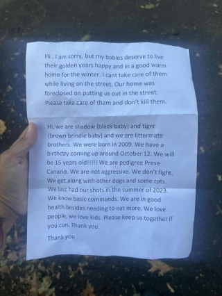 Illustration de l'article : La lettre déchirante d’un maître obligé d’abandonner ses 2 “bébés” aux grilles d’un refuge