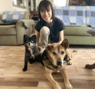 Illustration de l'article : Lors de sa première prise en charge, une mère d’accueil fait la rencontre d’un chien sénior extrêmement attachant