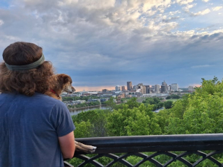 Illustration de l'article : Cette chienne sourde et aveugle de 18 ans découvre des ponts avec son maître et adore ça