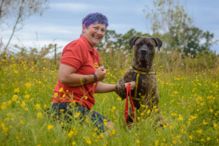 Illustration de l'article : À l’occasion de la Semaine des bénévoles, l’équipe d’un refuge rend hommage à un membre essentiel de la structure 