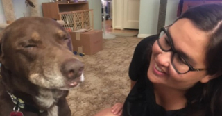 Illustration de l'article : Adopté en fin de vie, ce chien a tissé un lien indéfectible avec sa dernière maîtresse