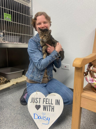 Illustration de l'article : Après deux abandons et une attente interminable au refuge, une chatte de 17 ans espère trouver prochainement son nouveau foyer (vidéo)