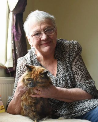 Illustration de l'article : Rosie, l'une des chattes les plus &acirc;g&eacute;es du monde, s&rsquo;est &eacute;teinte &agrave; l&rsquo;&acirc;ge incroyable de 33 ans