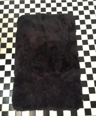 Illustration de l'article : 10 photos montrant des chiens particulièrement doués pour se camoufler