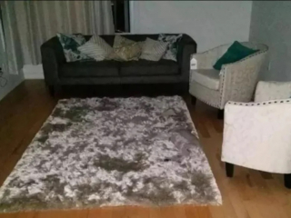 Illustration de l'article : 10 photos montrant des chiens particulièrement doués pour se camoufler