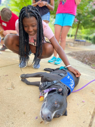 Illustration de l'article : Molly, une ancienne chienne abandonnée, est maintenant devenue thérapeute