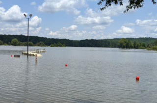 Illustration de l'article : En balade &agrave; bord d&rsquo;un bateau de p&ecirc;che, un duo d&rsquo;amis aper&ccedil;oit une quarantaine de chiens de chasse au bord de la noyade