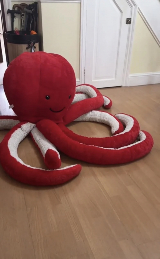 Illustration de l'article : Cette chienne-guide reçoit un cadeau rêvé pour son anniversaire : une pieuvre géante en peluche (vidéo)