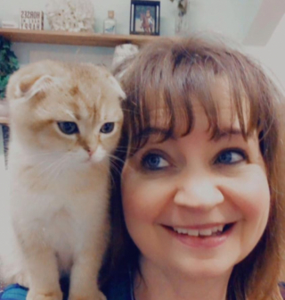 Illustration de l'article : Un Scottish Fold demande clairement à sa maîtresse d’éteindre son téléphone pour pouvoir aller se coucher (vidéo)