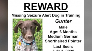 Illustration de l'article : Un homme atteint d’épilepsie perd son chien d’assistance et reçoit l’aide précieuse de son jeune voisin