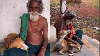 Illustration de l'article : Un homme entreprend de parcourir l’Inde avec sa chienne et fait des rencontres bouleversantes (vidéo)