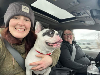 Illustration de l'article : Le parcours émouvant de Ralphie, un bouledogue français qui a trouvé sa famille après plusieurs tentatives d’adoption infructueuses