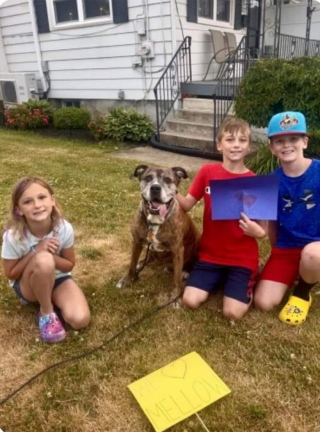 Illustration de l'article : Voisins et proches se réunissent pour des adieux déchirants à la mascotte du quartier (vidéo)