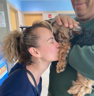 Illustration de l'article : Vol&eacute; &agrave; ses ma&icirc;tres, un Yorkshire a pu &ecirc;tre tir&eacute; d&rsquo;affaire gr&acirc;ce &agrave; une passante observatrice