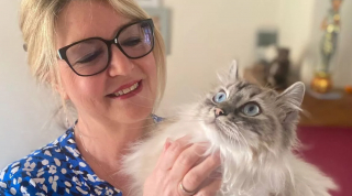 Illustration de l'article : Le choix risqué des vétérinaires tentant d’enlever une aiguille à coudre de l’estomac d’une chatte sans l’opérer