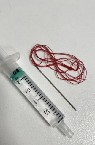 Illustration de l'article : Le choix risqué des vétérinaires tentant d’enlever une aiguille à coudre de l’estomac d’une chatte sans l’opérer