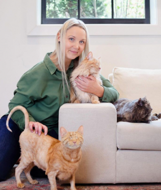 Illustration de l'article : Ces 2 chats aveugles absolument autonomes sont un exemple frappant de résilience et d’adaptation