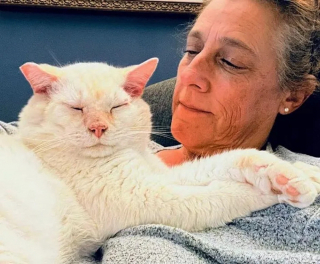 Illustration de l'article : Prêt à changer de vie, un chat errant frappe à la bonne porte pour profiter enfin de câlins