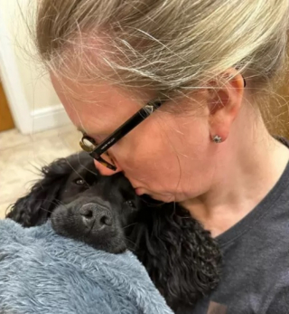 Illustration de l'article : L’épopée de Jazz, une chienne montée à bord du véhicule d’une ambulancière et bien décidée à retrouver sa famille