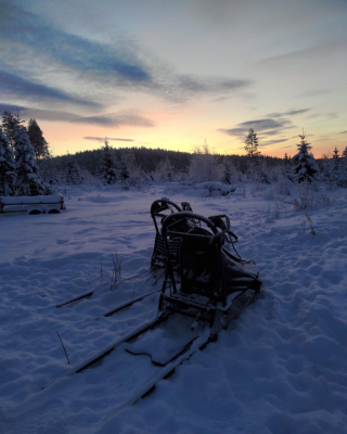 Illustration de l'article : Expérience Montagne : partez pour un voyage hors du temps dans les plus beaux décors de Laponie en compagnie de mushers expérimentés