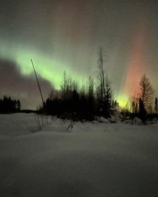 Illustration de l'article : Expérience Montagne : partez pour un voyage hors du temps dans les plus beaux décors de Laponie en compagnie de mushers expérimentés
