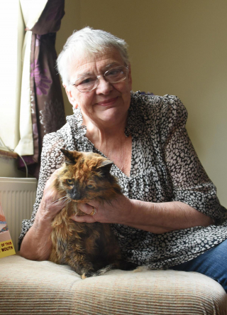 Illustration de l'article : Du haut de ses 32 ans, Rosie serait la chatte vivante la plus âgée du monde