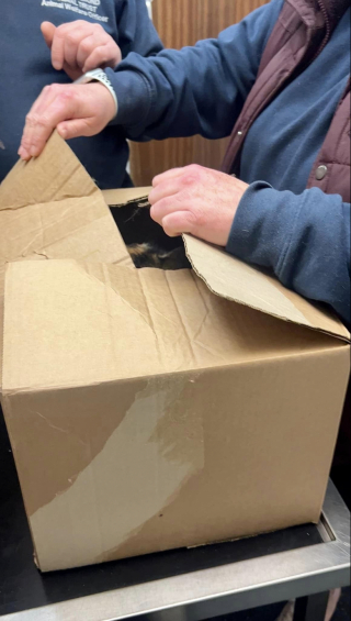 Illustration de l'article : Bobbi et Franki, 2 chattes abandonnées et complices, reçoivent l’aide généreuse de donateurs pour élever une portée de chatons