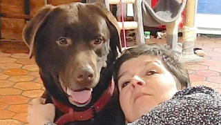 Illustration de l'article : Retrouvé avec 15 autres chiens chez une éleveuse qui mettait la clé sous la porte, Oualy a pu compter sur l’amour de Karine pour se reconstruire